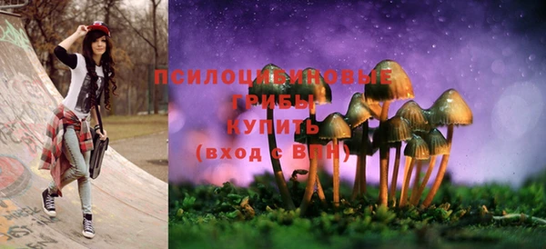 тгк Балахна
