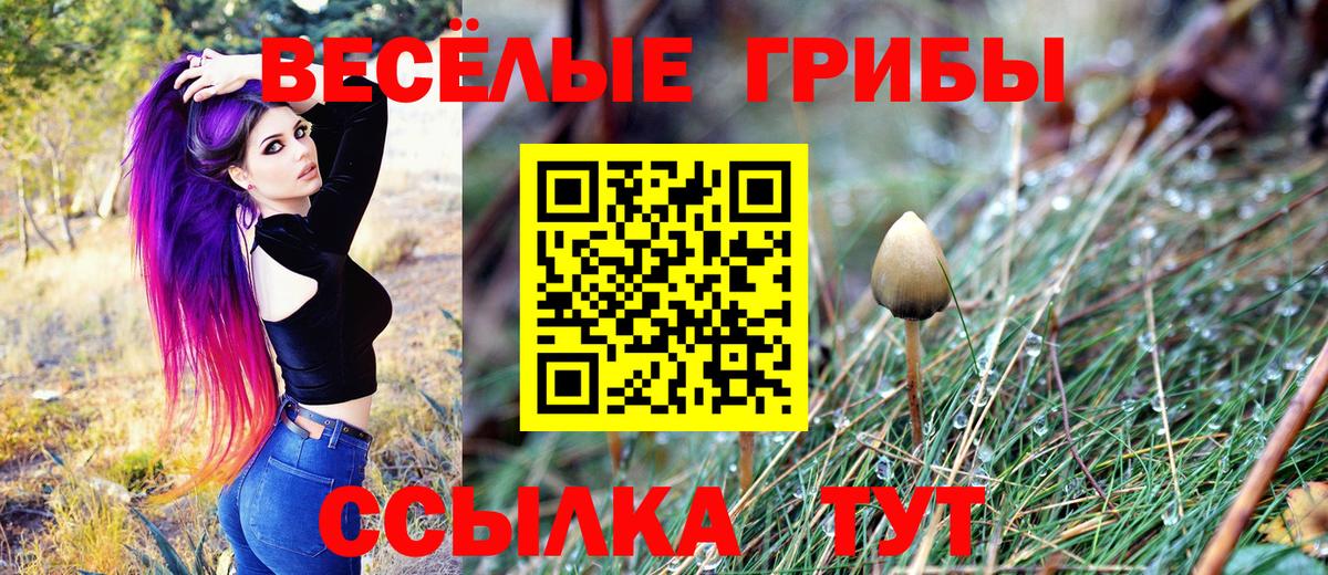 Псилоцибиновые грибы Psilocybine cubensis  Вход с VPN  Борисоглебск 