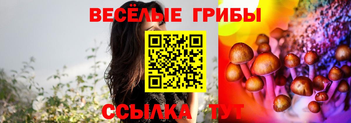 Псилоцибиновые грибы прущие грибы Борисоглебск
